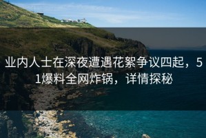 业内人士在深夜遭遇花絮争议四起，51爆料全网炸锅，详情探秘