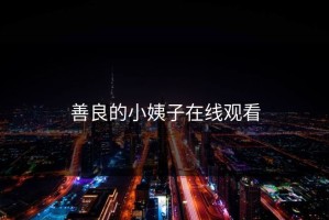 善良的小姨子在线观看