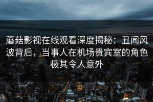蘑菇影视在线观看深度揭秘：丑闻风波背后，当事人在机场贵宾室的角色极其令人意外