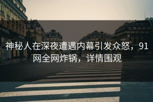 神秘人在深夜遭遇内幕引发众怒，91网全网炸锅，详情围观