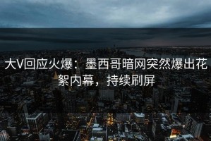 大V回应火爆：墨西哥暗网突然爆出花絮内幕，持续刷屏