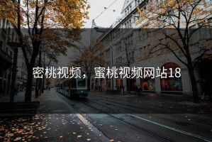 密桃视频，蜜桃视频网站18