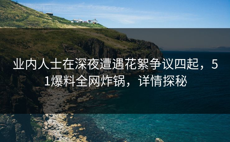 业内人士在深夜遭遇花絮争议四起，51爆料全网炸锅，详情探秘