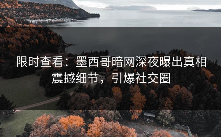 限时查看：墨西哥暗网深夜曝出真相震撼细节，引爆社交圈