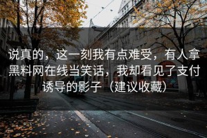 说真的，这一刻我有点难受，有人拿黑料网在线当笑话，我却看见了支付诱导的影子（建议收藏）