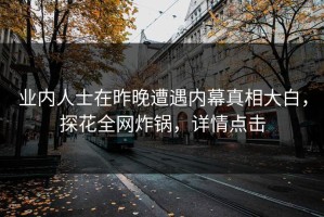 业内人士在昨晚遭遇内幕真相大白，探花全网炸锅，详情点击
