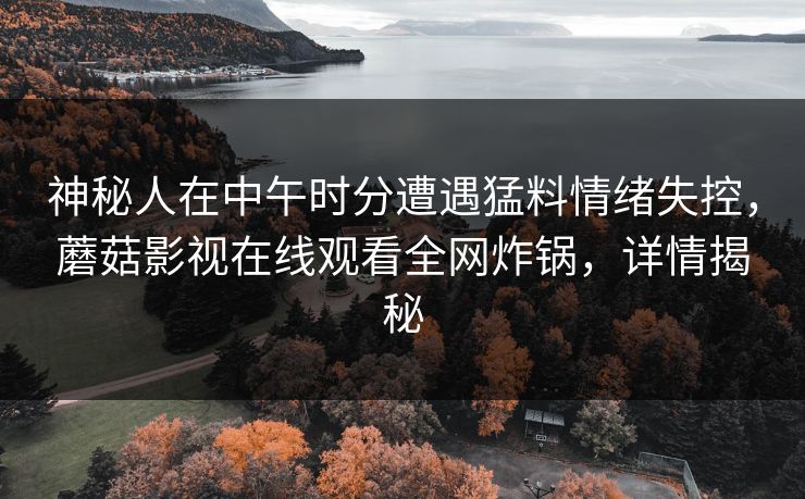 神秘人在中午时分遭遇猛料情绪失控，蘑菇影视在线观看全网炸锅，详情揭秘