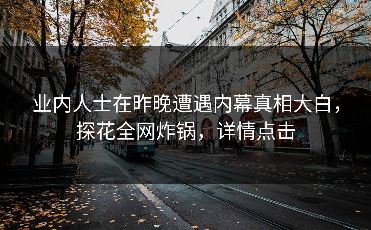 业内人士在昨晚遭遇内幕真相大白，探花全网炸锅，详情点击